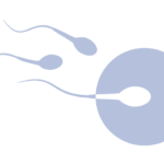 SPERM-BLACK_222499078.png