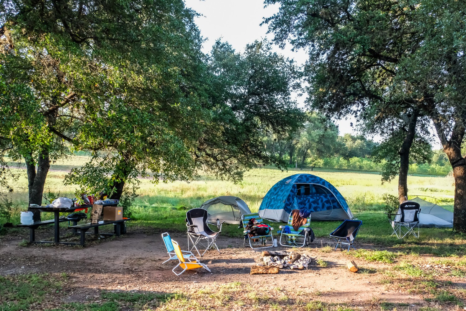 Camping tent set up in a park